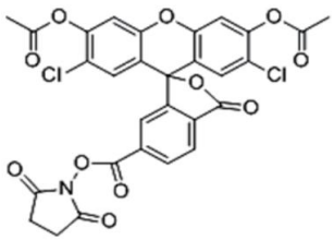 5f21386fb5708.png image.png