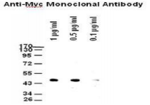 5f61848b9b6e0.png image.png