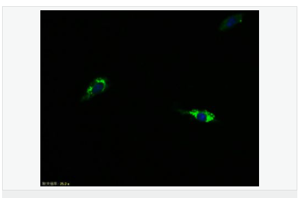 60583d3d1772e.png image.png