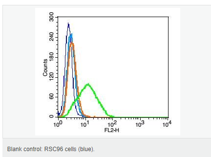 60612fb03e4c7.png image.png