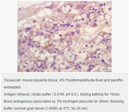 60656f8e77b81.png image.png