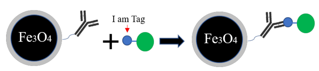 64817ac2305ee.png image.png