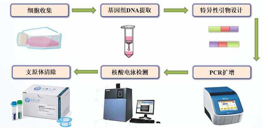 68ea0bac85965.png image.png