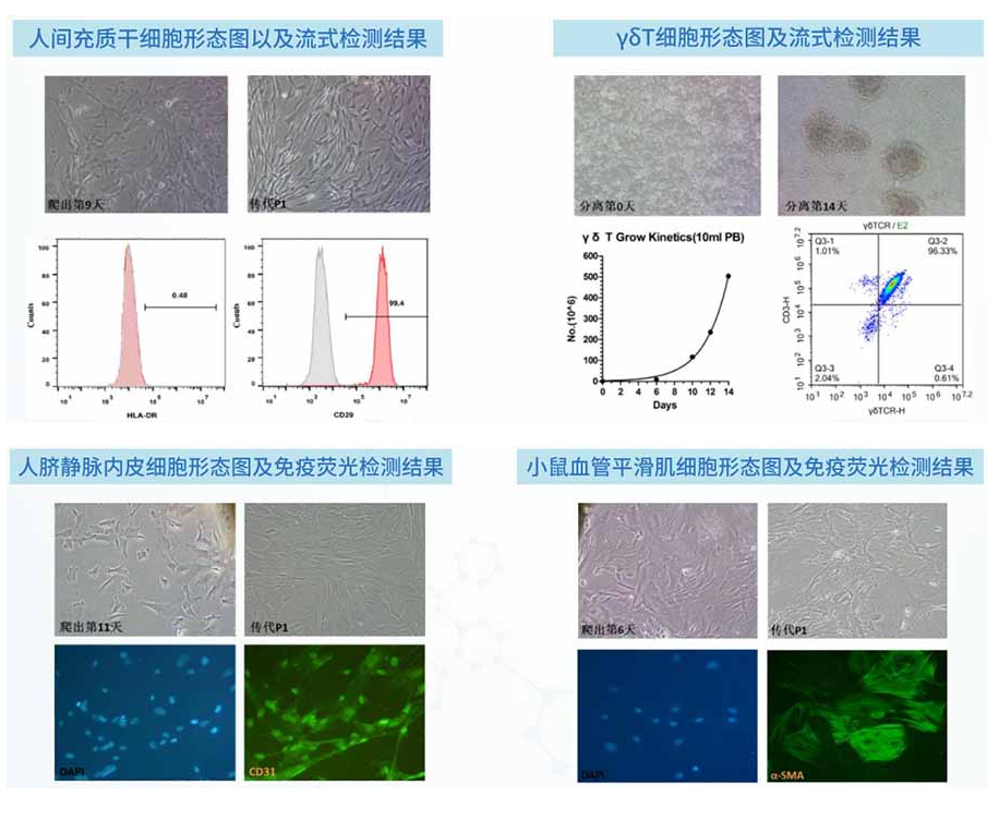 68ea0f65143b3.png image.png